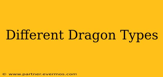 Different Dragon Types