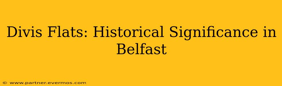 Divis Flats: Historical Significance in Belfast