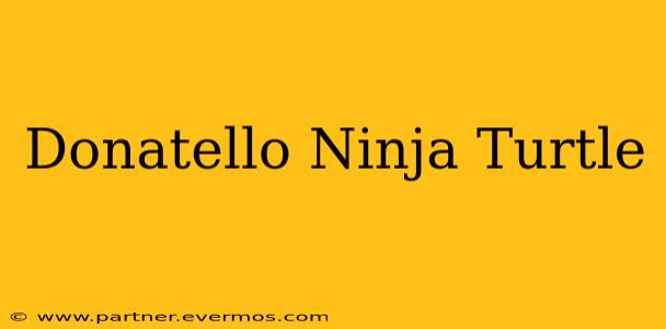 Donatello Ninja Turtle