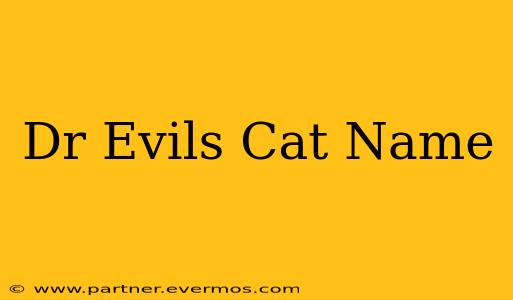 Dr Evils Cat Name