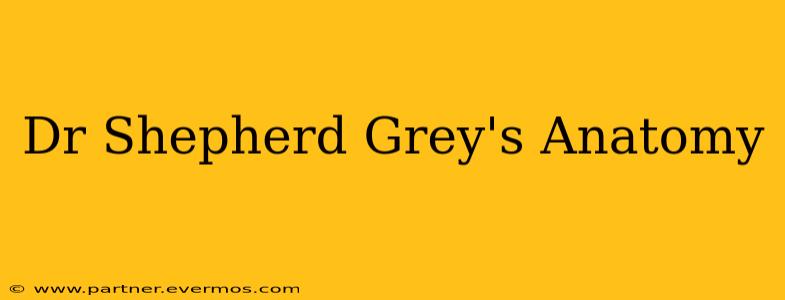 Dr Shepherd Grey's Anatomy