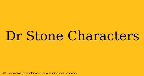 Dr Stone Characters