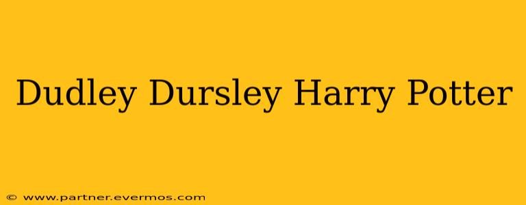 Dudley Dursley Harry Potter