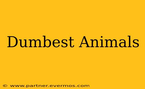 Dumbest Animals