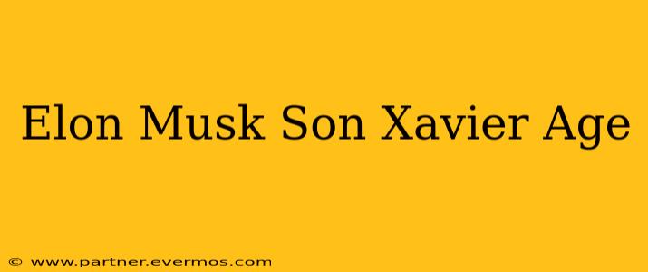 Elon Musk Son Xavier Age