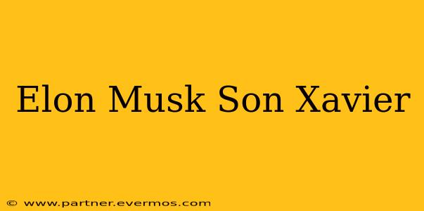 Elon Musk Son Xavier