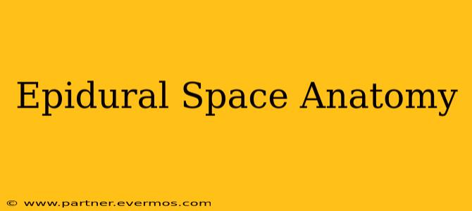 Epidural Space Anatomy