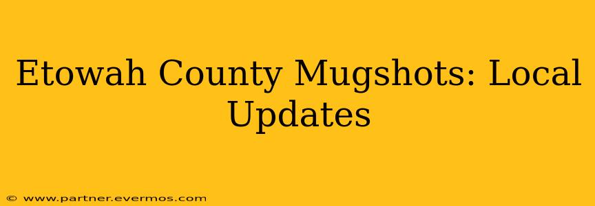 Etowah County Mugshots: Local Updates