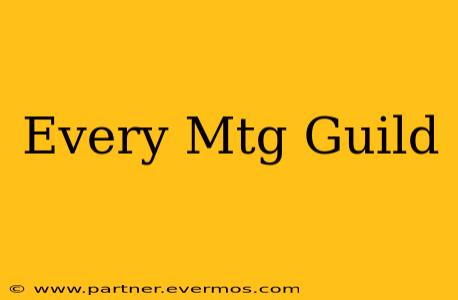 Every Mtg Guild