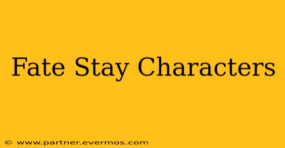 Fate Stay Characters