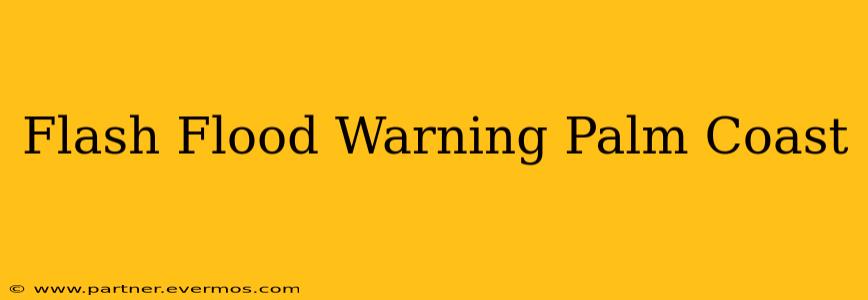 Flash Flood Warning Palm Coast