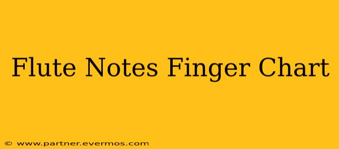 Flute Notes Finger Chart