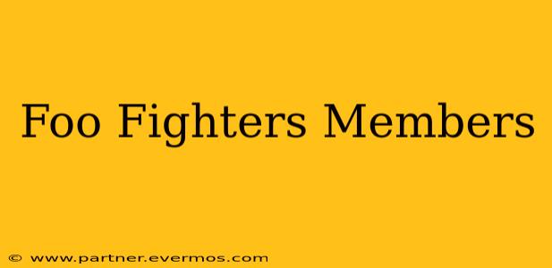 Foo Fighters Members