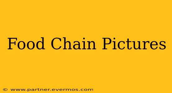 Food Chain Pictures