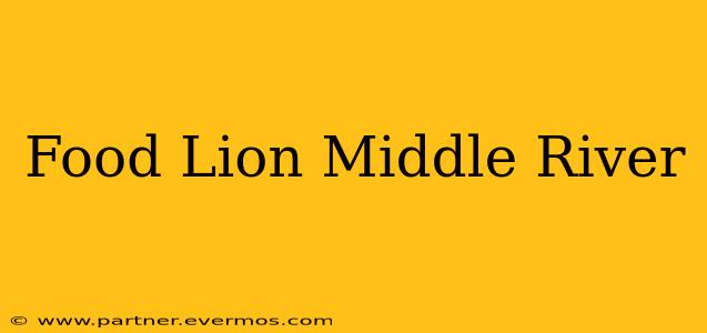 Food Lion Middle River