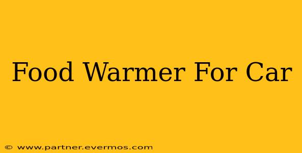 Food Warmer For Car