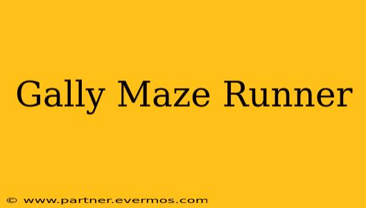 Gally Maze Runner