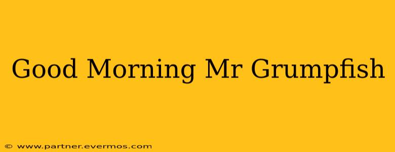 Good Morning Mr Grumpfish