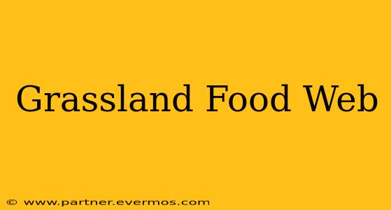 Grassland Food Web
