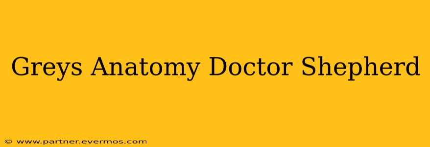 Greys Anatomy Doctor Shepherd