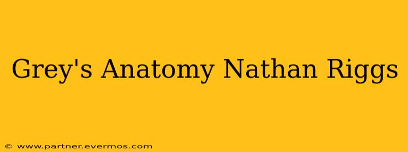 Grey's Anatomy Nathan Riggs