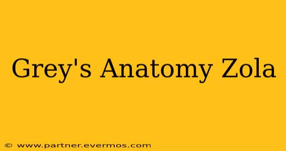 Grey's Anatomy Zola