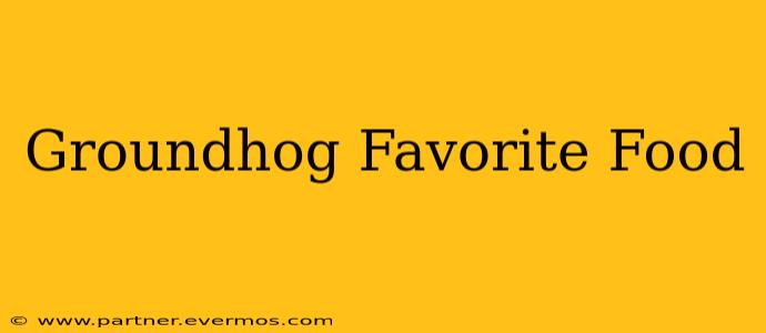 Groundhog Favorite Food