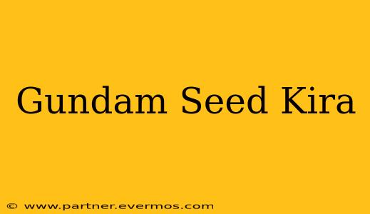 Gundam Seed Kira