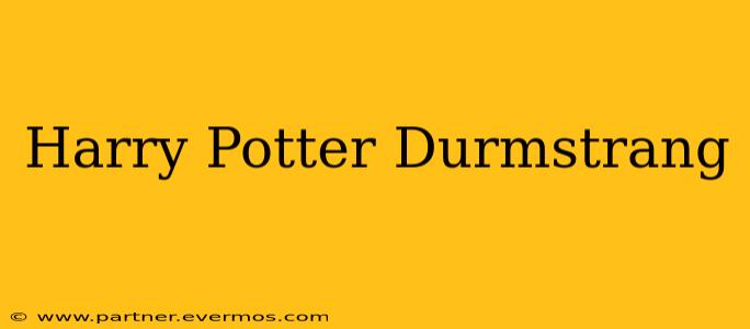 Harry Potter Durmstrang