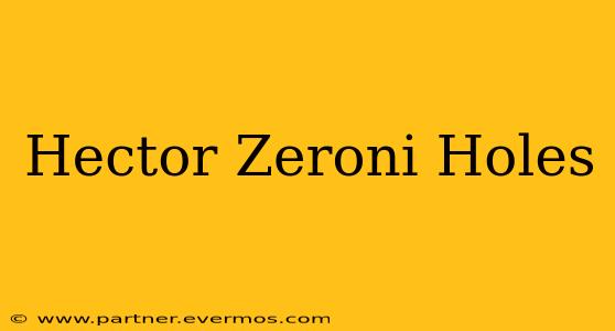 Hector Zeroni Holes