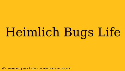 Heimlich Bugs Life