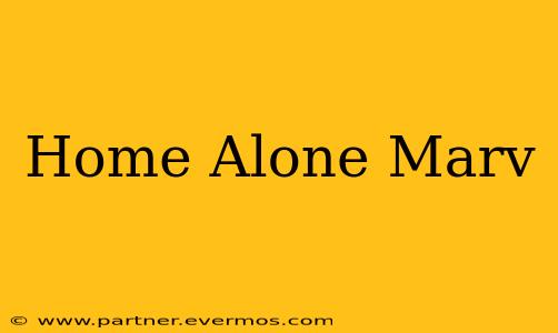 Home Alone Marv