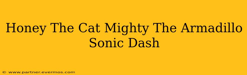 Honey The Cat Mighty The Armadillo Sonic Dash