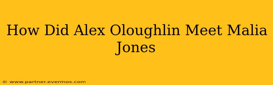 How Did Alex Oloughlin Meet Malia Jones
