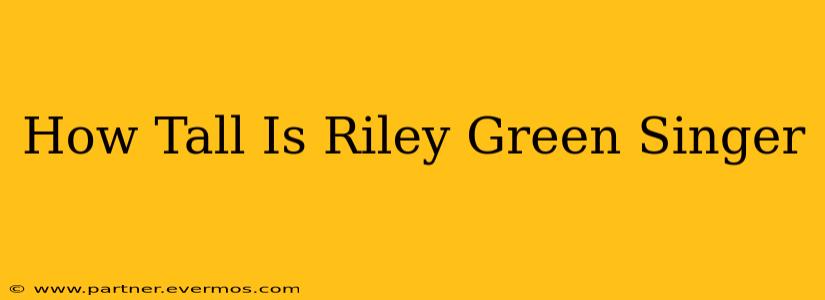 How Tall Is Riley Green Singer