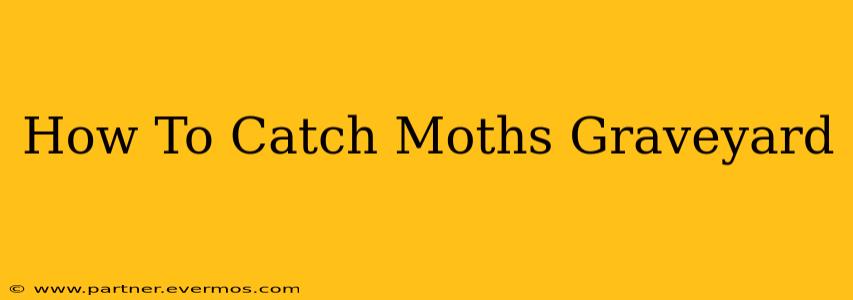How To Catch Moths Graveyard