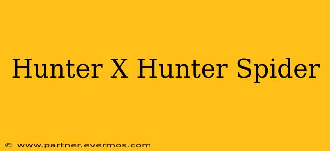 Hunter X Hunter Spider
