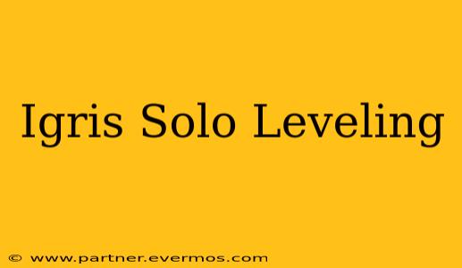 Igris Solo Leveling