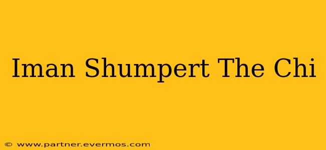 Iman Shumpert The Chi