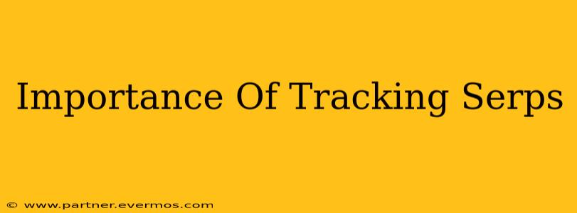 Importance Of Tracking Serps