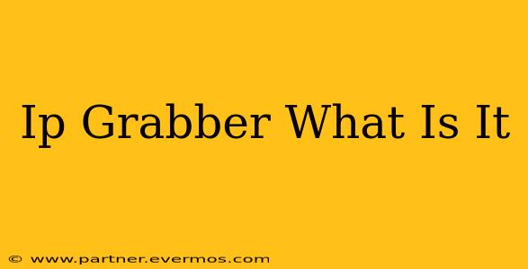 Ip Grabber What Is It