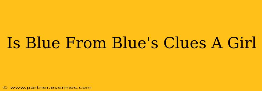 Is Blue From Blue's Clues A Girl