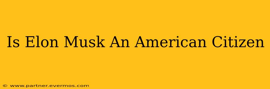 Is Elon Musk An American Citizen