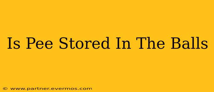 Is Pee Stored In The Balls