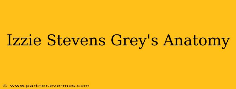 Izzie Stevens Grey's Anatomy