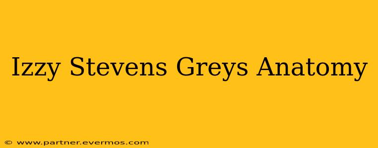 Izzy Stevens Greys Anatomy