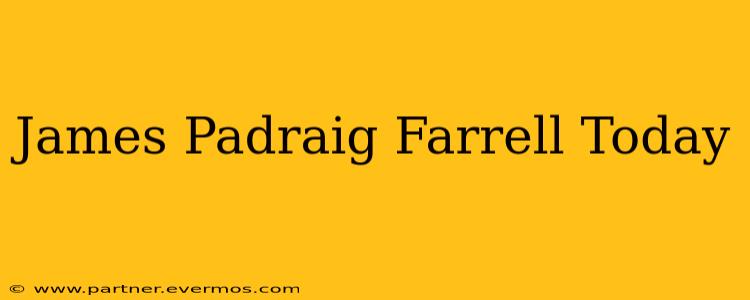James Padraig Farrell Today