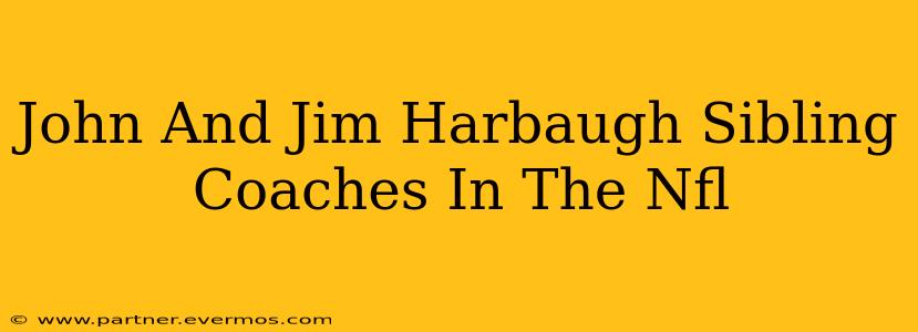 John And Jim Harbaugh Sibling Coaches In The Nfl