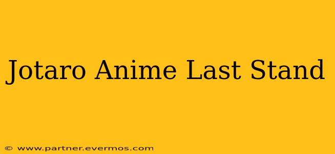 Jotaro Anime Last Stand