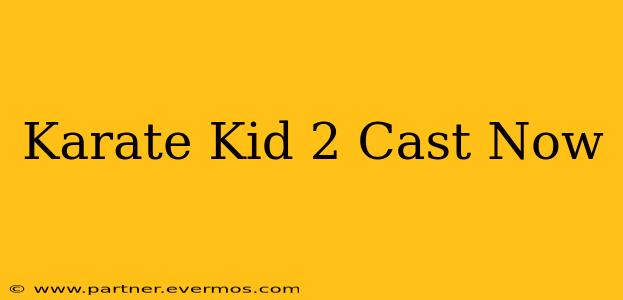 Karate Kid 2 Cast Now